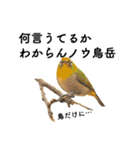 山に登りたい猫と動物たち（個別スタンプ：15）