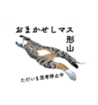 山に登りたい猫と動物たち（個別スタンプ：16）