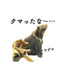 山に登りたい猫と動物たち（個別スタンプ：17）
