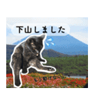 山に登りたい猫と動物たち（個別スタンプ：19）