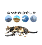 山に登りたい猫と動物たち（個別スタンプ：20）