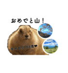 山に登りたい猫と動物たち（個別スタンプ：22）