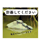 山に登りたい猫と動物たち（個別スタンプ：23）