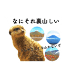 山に登りたい猫と動物たち（個別スタンプ：24）
