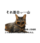 山に登りたい猫と動物たち（個別スタンプ：25）