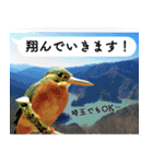 山に登りたい猫と動物たち（個別スタンプ：30）