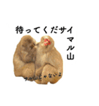 山に登りたい猫と動物たち（個別スタンプ：32）