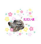 ミーコロの日常（個別スタンプ：23）