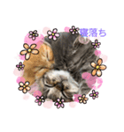 保護猫 ＆ COCO ❷（個別スタンプ：5）