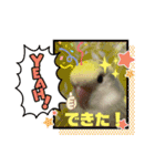 くーりんスタンプ第2弾！（個別スタンプ：1）