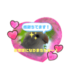くーりんスタンプ第2弾！（個別スタンプ：5）