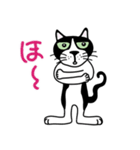 はちわれ看板猫のコタ君・ぽーちゃん（個別スタンプ：3）