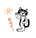 はちわれ看板猫のコタ君・ぽーちゃん（個別スタンプ：4）