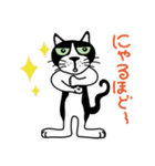 はちわれ看板猫のコタ君・ぽーちゃん（個別スタンプ：5）