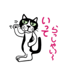はちわれ看板猫のコタ君・ぽーちゃん（個別スタンプ：8）