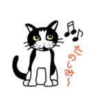 はちわれ看板猫のコタ君・ぽーちゃん（個別スタンプ：9）