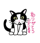はちわれ看板猫のコタ君・ぽーちゃん（個別スタンプ：14）