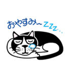 はちわれ看板猫のコタ君・ぽーちゃん（個別スタンプ：15）