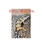 レオパとニシアフ（個別スタンプ：7）