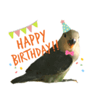 コザクラインコのぴっぴとマオ（個別スタンプ：15）