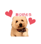 なかもずく（個別スタンプ：1）