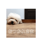 なかもずく（個別スタンプ：2）