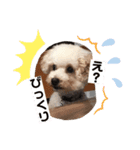 なかもずく（個別スタンプ：3）