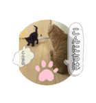 大河さんとクロノくん（個別スタンプ：3）