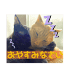 大河さんとクロノくん（個別スタンプ：4）