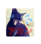 大河さんとクロノくん（個別スタンプ：7）