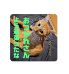 大河さんとクロノくん（個別スタンプ：13）