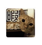 大河さんとクロノくん（個別スタンプ：17）