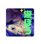 大河さんとクロノくん（個別スタンプ：18）