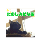 大河さんとクロノくん（個別スタンプ：19）