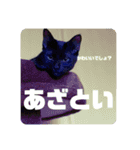 大河さんとクロノくん（個別スタンプ：20）