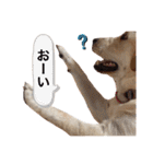 しかのいぬ（個別スタンプ：18）