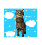 ソラおの日常2☆（個別スタンプ：1）