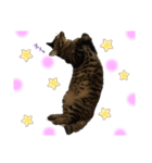 ソラおの日常2☆（個別スタンプ：4）