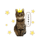 ソラおの日常2☆（個別スタンプ：8）