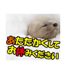 元気チャージ★大切な毎日にスタンプ（個別スタンプ：1）