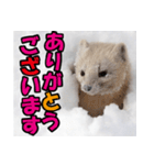元気チャージ★大切な毎日にスタンプ（個別スタンプ：2）
