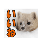 元気チャージ★大切な毎日にスタンプ（個別スタンプ：3）