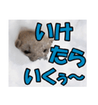 元気チャージ★大切な毎日にスタンプ（個別スタンプ：4）