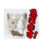 元気チャージ★大切な毎日にスタンプ（個別スタンプ：5）