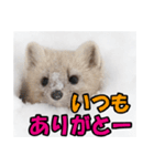元気チャージ★大切な毎日にスタンプ（個別スタンプ：6）