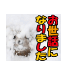元気チャージ★大切な毎日にスタンプ（個別スタンプ：8）