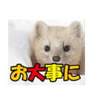 元気チャージ★大切な毎日にスタンプ（個別スタンプ：9）