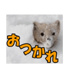 元気チャージ★大切な毎日にスタンプ（個別スタンプ：10）