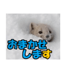元気チャージ★大切な毎日にスタンプ（個別スタンプ：11）