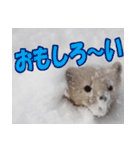 元気チャージ★大切な毎日にスタンプ（個別スタンプ：12）